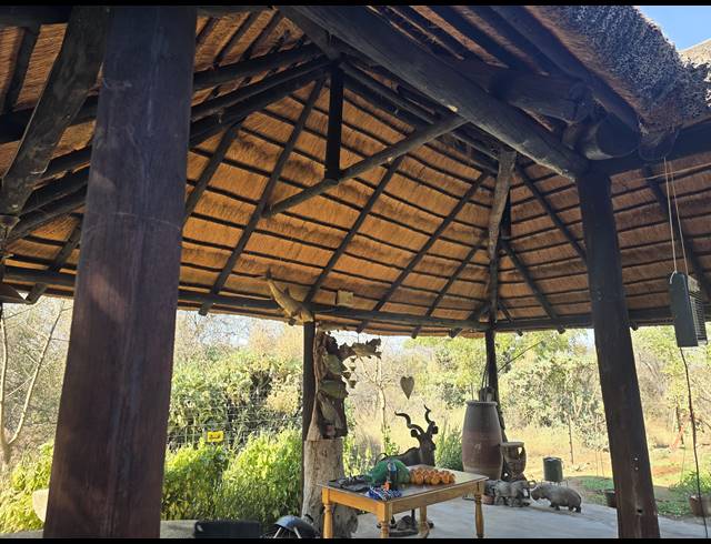 43HA FARM FOR SALE IN MOPANE